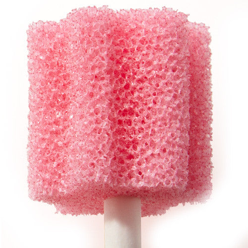 Toothette Untreated Oral Swab, 5.3"