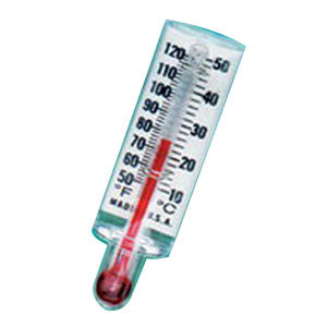 Disposable Thermometer. 1 Each
