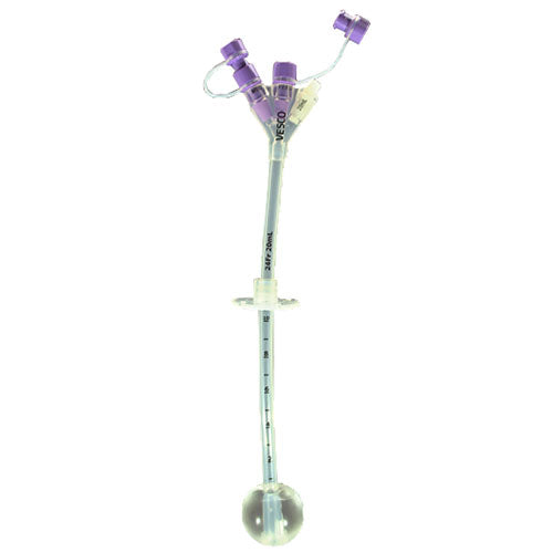 ENFit G-Tube 20 Fr (20 mL balloon) Dual Port 1 Each