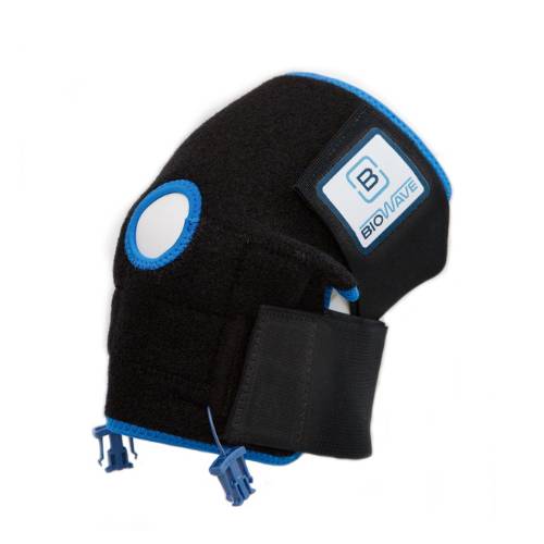 Back BioWrap Blue, Large/X-Large 1 Each
