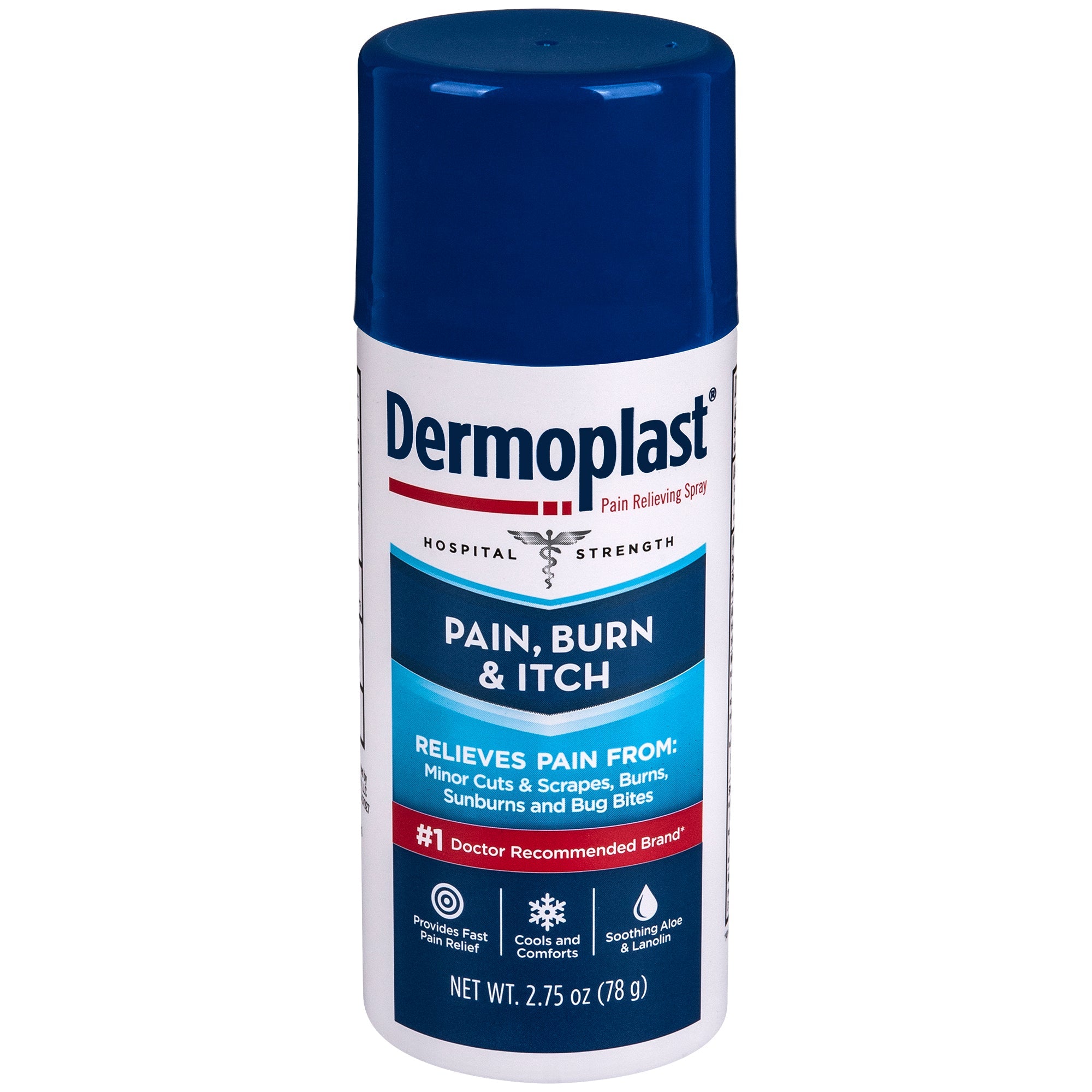 Dermoplast Pain Relief Spray, 2.75 oz. 1 Each