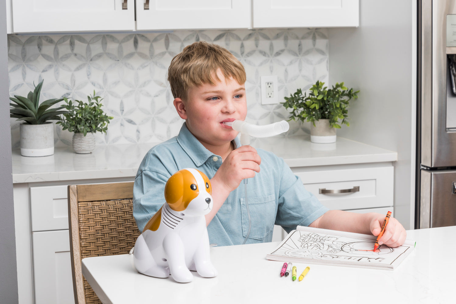 Beagle Nebulizer with Reusable and Disposable Neb Kit 1 Each
