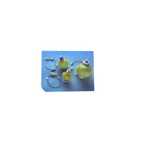 Homepump C-Series Ambulatory Infusion Pump, 60 mL, 2 mL/hr Duration 24 Case