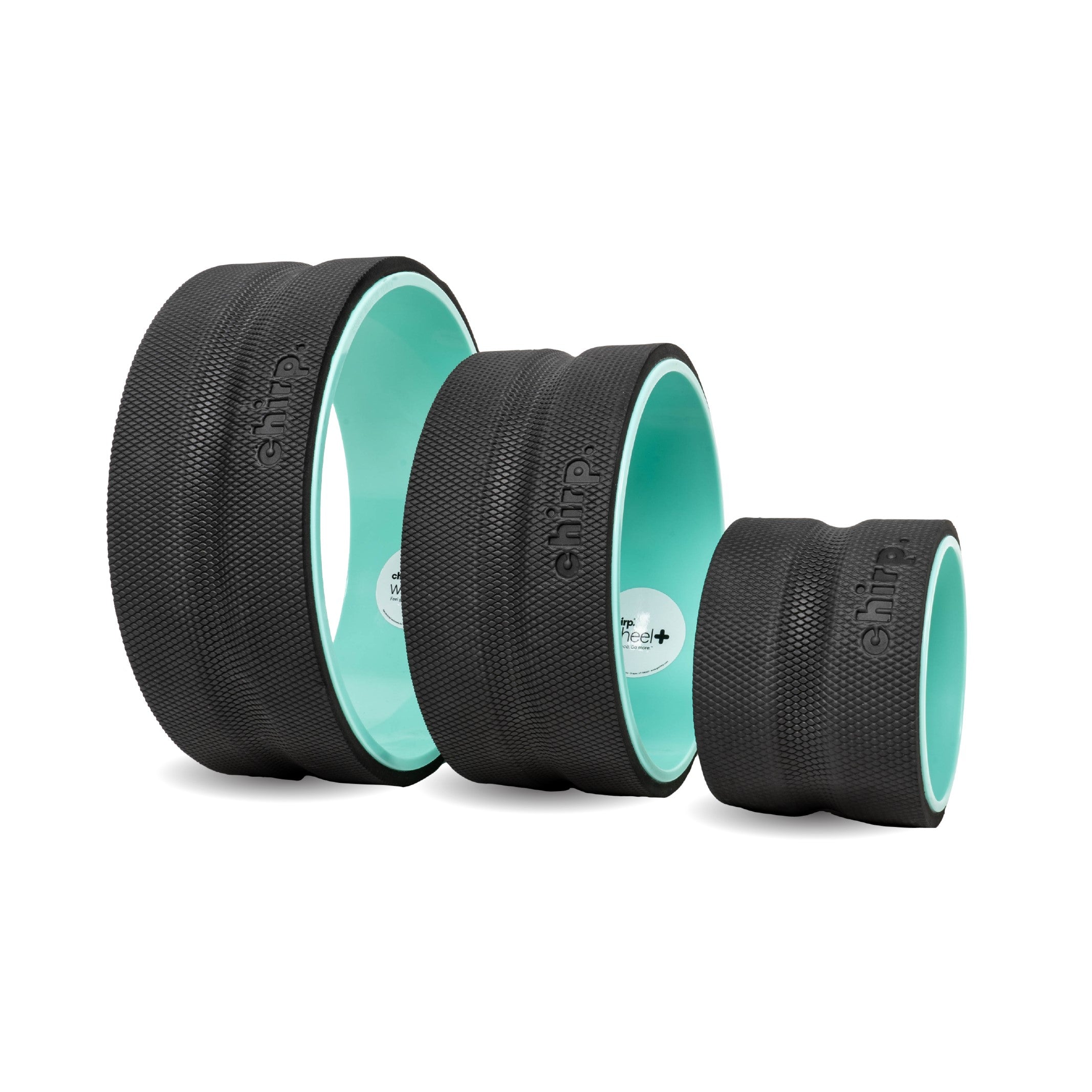 Chirp 3-in-1 Muscle Roller 1 Each