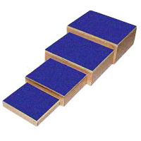 Therapy Steps 1 Each